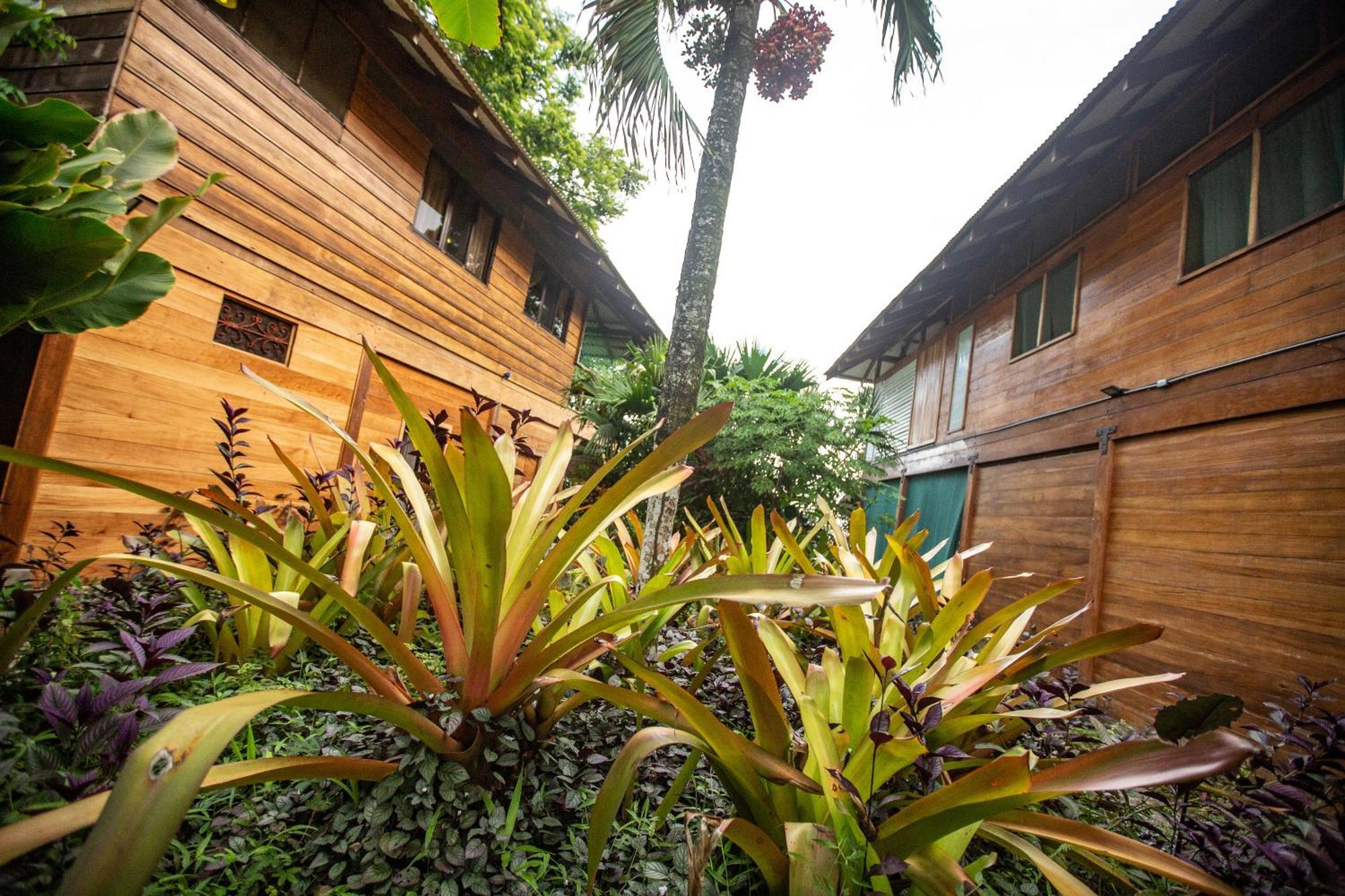 Villas Serenidad Puerto Viejo de Talamanca Exterior photo
